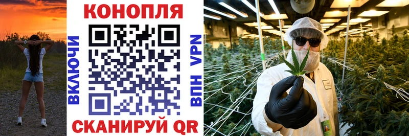 Шишки марихуана White Widow  Купить закладки  Ряжск 
